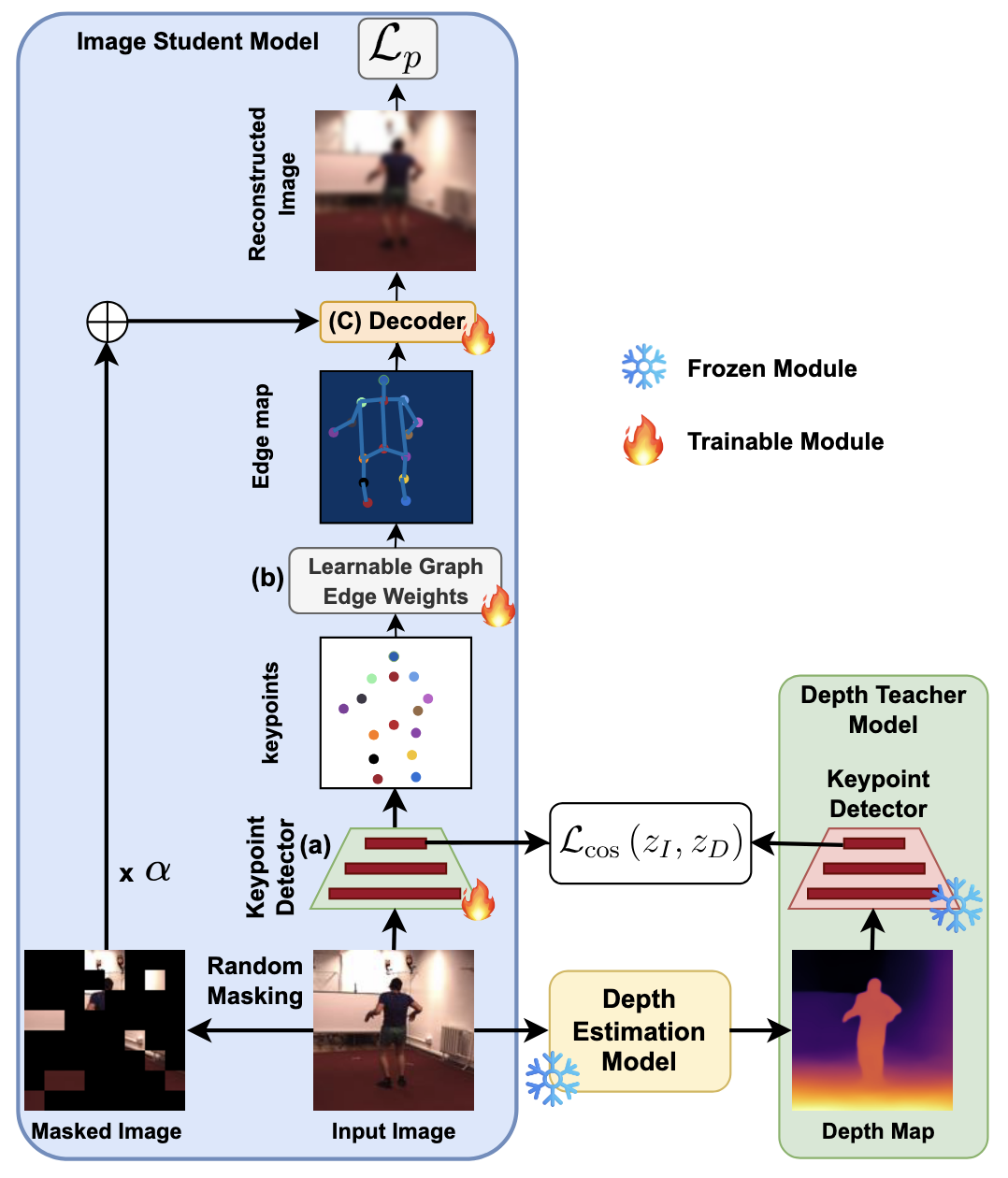 Model Architecture